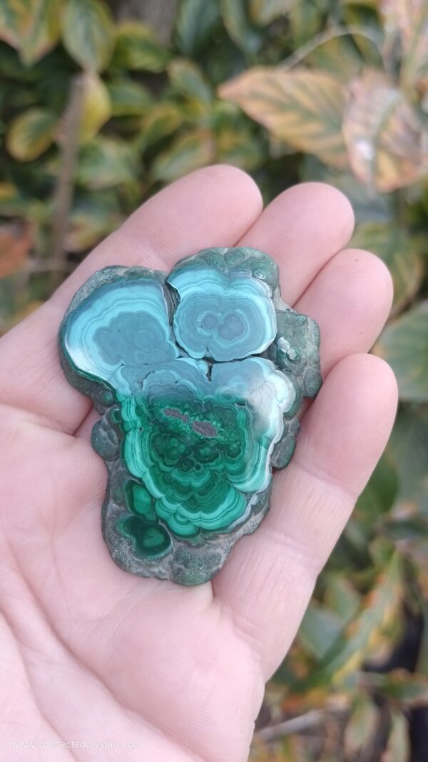 Malachite Slice